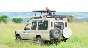 Game drive in the wilderness in Uganda.
