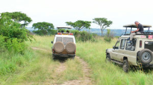 An image showing a wildlife safari in Uganda.